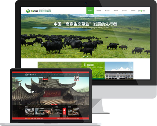 品牌網(wǎng)站建設 品牌網(wǎng)站建設